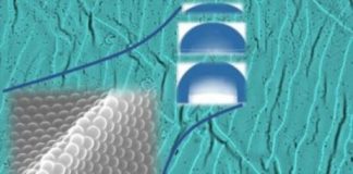 Tech: Eco-friendly waterproof polymer films synthesized using novel method — (Report)