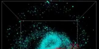 Tech: Astronomers discover the giant that shaped the early days of our Milky Way — (Report)