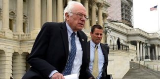 Bernie Sanders Saves Amy Currotto From Getting Hit By A Car Bernie Sanders Saves Amy Currotto From Getting Hit By A Car
