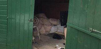 British man slavery victim rescued from shed he lived in for 40 years British man slavery victim rescued from shed he lived in for 40 years