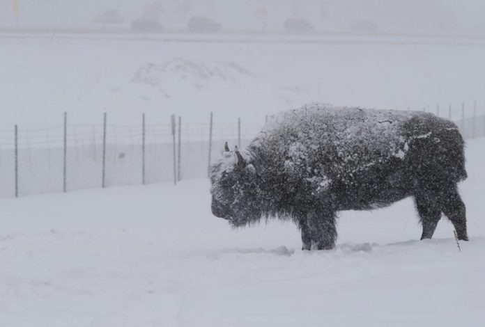 Colorado Wyoming snow storm: threaten power outages in Rockies