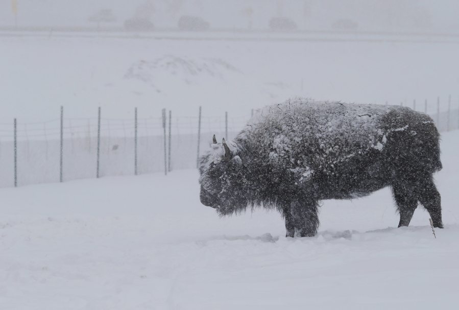 Colorado Wyoming Snow Storm Threaten Power Outages In Rockies
