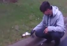 Driver revives squirrel he hit with car (Watch) Driver revives squirrel he hit with car (Video)