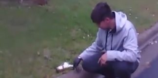 Driver revives squirrel he hit with car (Watch) Driver revives squirrel he hit with car (Video)