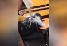 Dunkin Donuts workers suspended from their jobs Dunkin Donuts workers suspended from their jobs