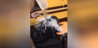 Dunkin Donuts workers suspended from their jobs Dunkin Donuts workers suspended from their jobs