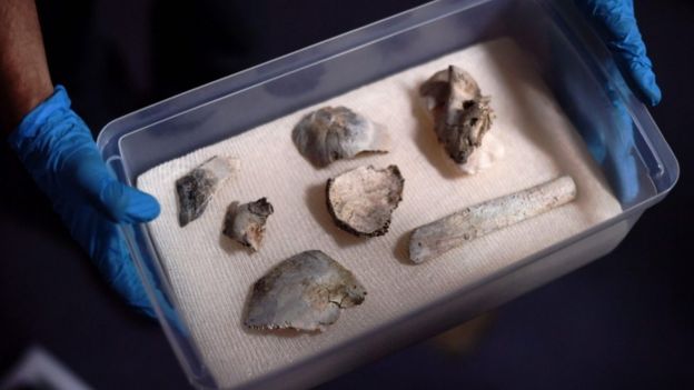 Fossil Luzia found amid Rio Museum debris