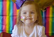 Lilah birthday gift: a new liver and kidney Lilah birthday gift: a new liver and kidney