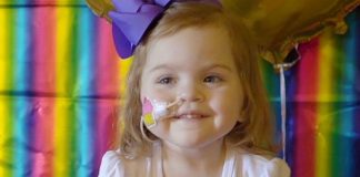 Lilah birthday gift: a new liver and kidney Lilah birthday gift: a new liver and kidney