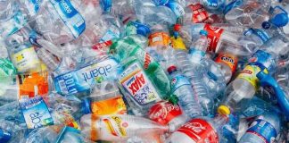 Plastic found in human waste in pilot study Plastic found in human waste in pilot study