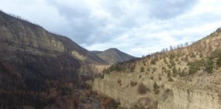 Research: Narrow focus on wildfire trends underestimates future risks to water security —