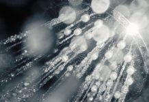 Research: Researchers find correlation —