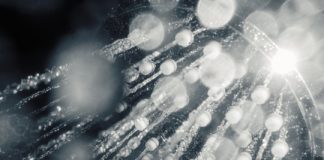 Research: Researchers find correlation —