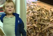 Toddler shreds cash? ‘I’ve never heard of a kid shredding a grand’ Toddler shreds cash? 'I've never heard of a kid shredding a grand'