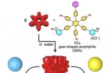 Tech: Researchers discover weak chemical interactions hold together box of infinite possibilities — (Report)