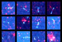 Tech: Artificial intelligence bot trained to recognize galaxies — (Report)