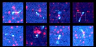 Tech: Artificial intelligence bot trained to recognize galaxies — (Report)