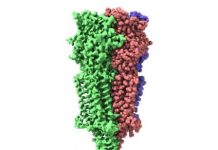 Tech: Structure and mechanism of the 5-HT3 receptor — (Report)