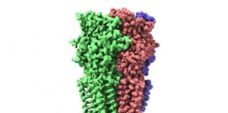 Tech: Structure and mechanism of the 5-HT3 receptor — (Report)