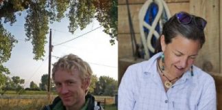 Research: As humans evolved and expanded, so too did barn swallows —