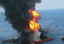 Tech: Research suggests dispersants suppress oil’s natural ability to biodegrade — (Report)