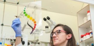 Tech: A record-long polymer DNA negative — (Report)