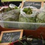 Study: Farmers’ market vendors need training to improve food-safety practices — (Details)