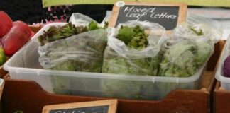 Study: Farmers’ market vendors need training to improve food-safety practices — (Details)