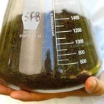 Study: Searching in soil, scientists find a new way to combat tuberculosis — (Details)