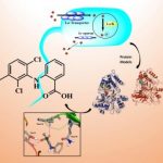 Study: Novel antibacterial drugs — (Details)