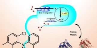 Study: Novel antibacterial drugs — (Details)