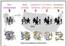 Research: Immigration to the United States changes a person’s microbiome —