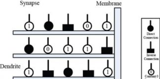 Study: Training with states of matter search algorithm enables neuron model pruning — (Details)