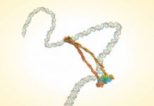 Research: Scientists settle argument over structure of condensin complex in every cell —