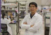 Research: New DNA nanostructures —