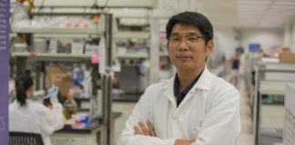 Research: New DNA nanostructures —