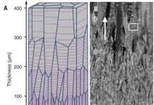 Tech: Spaced-out nanotwins make for stronger metals — (Report)
