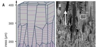 Tech: Spaced-out nanotwins make for stronger metals — (Report)