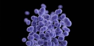 Study: Simple method for linking molecules could help overcome drug resistant infections — (Details)