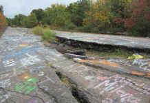 Research: Organisms with small genomes, cells found thriving in hot soils —