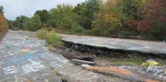 Research: Organisms with small genomes, cells found thriving in hot soils —