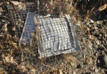 Research: Study explores how climate change affects nature’s ability to recycle —