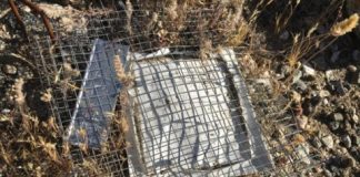 Research: Study explores how climate change affects nature’s ability to recycle —