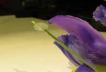 Tech: Ultrathin, ultralight 'nanocardboard' (Report)