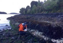 Research: White line of algae deaths marks uplift in 2016 Chilean earthquake —