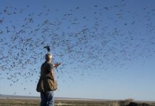 Tech: Ultimate battle of sonar systems — (Report)