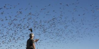 Tech: Ultimate battle of sonar systems — (Report)