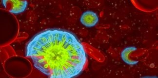 Study: Model predicts whether ER patients suffering from sepsis urgently need a change in therapy — (Details)