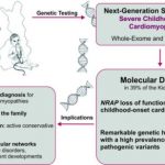 Study: Genetic study clarifies the causes of the most severe heart muscle diseases of children — (Details)