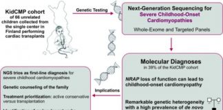 Study: Genetic study clarifies the causes of the most severe heart muscle diseases of children — (Details)